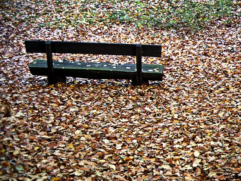 Ausencias en Otoño.jpg